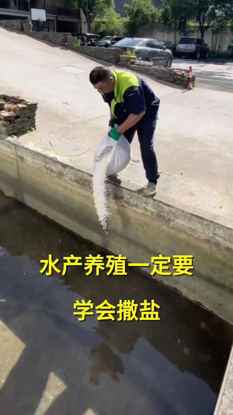 门口撒盐有什么讲究,门口撒盐风水讲究揭秘