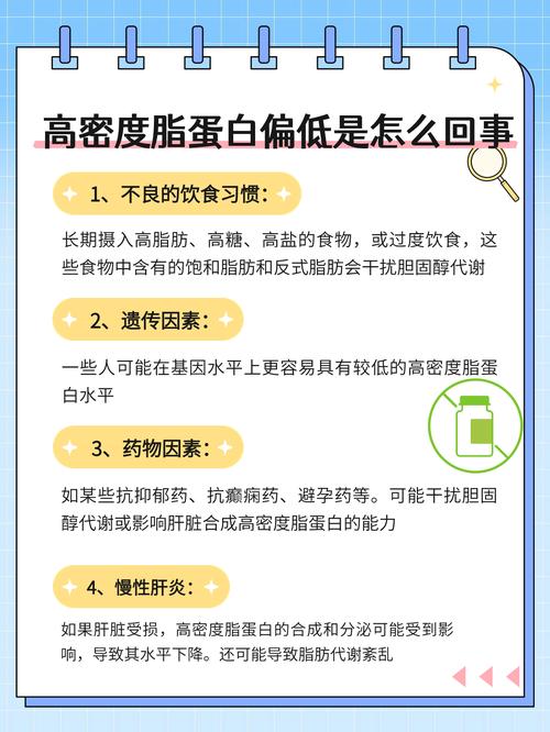 高密度脂蛋白偏高是什么原因造成的,高密度脂蛋白偏高的原因解析