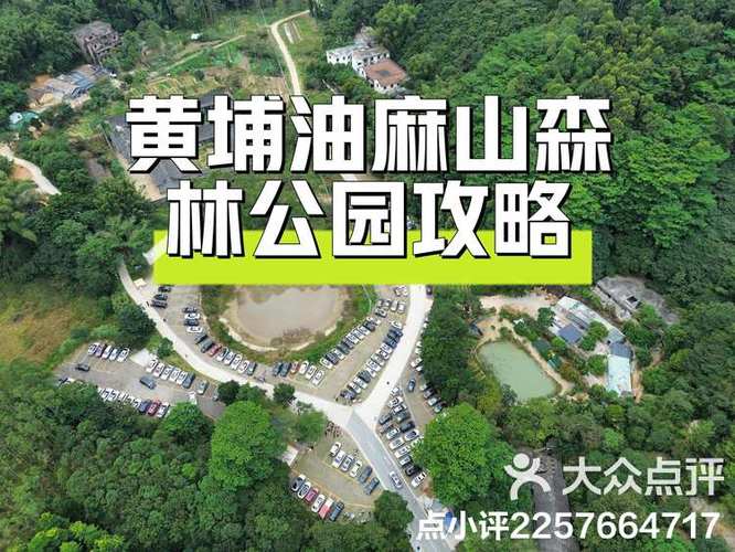 黄埔油麻山森林公园,黄埔油麻山森林公园攻略指南