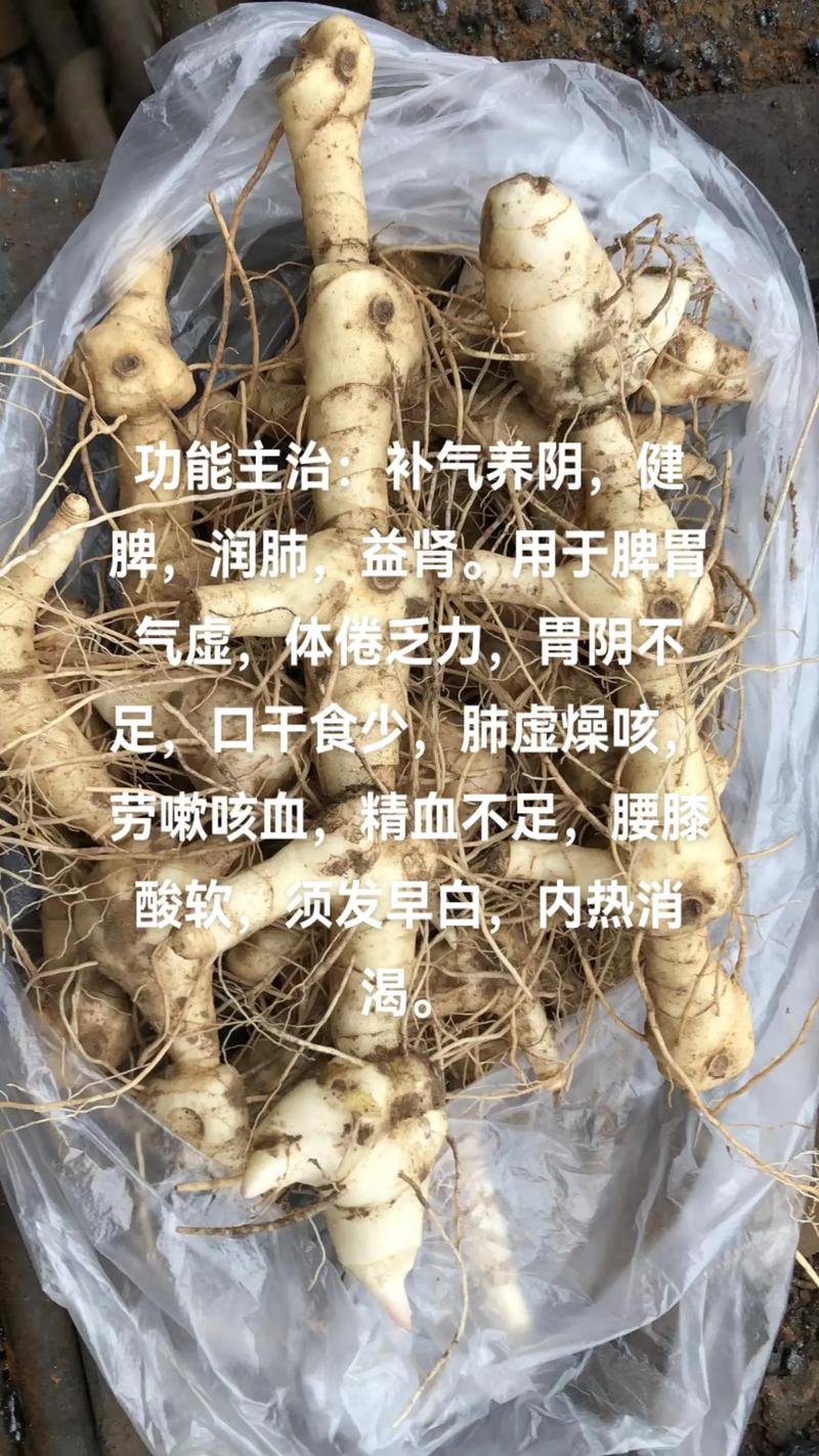 黄精的作用是什么,黄精功效与作用详解