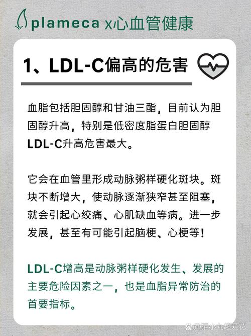 残粒脂蛋白胆固醇偏高,残粒脂蛋白胆固醇偏高怎么办？