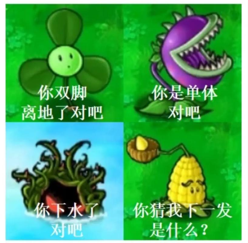 植物大战僵尸入口,植物大战僵尸入口攻略