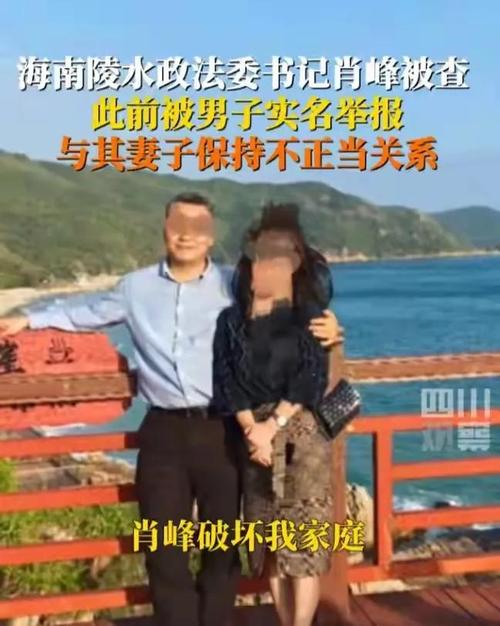 妻子的选择剧情简介,《妻子的选择》剧情揭秘：爱恨交织抉择难