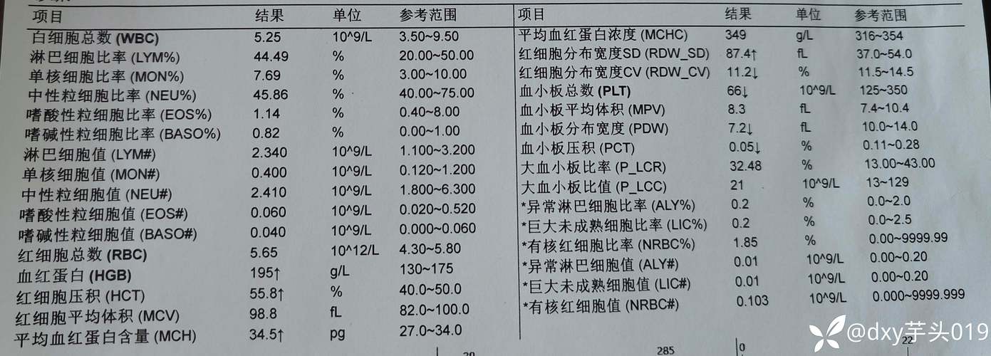 红细胞血红蛋白偏高是什么原因,“红细胞血红蛋白偏高原因解析”