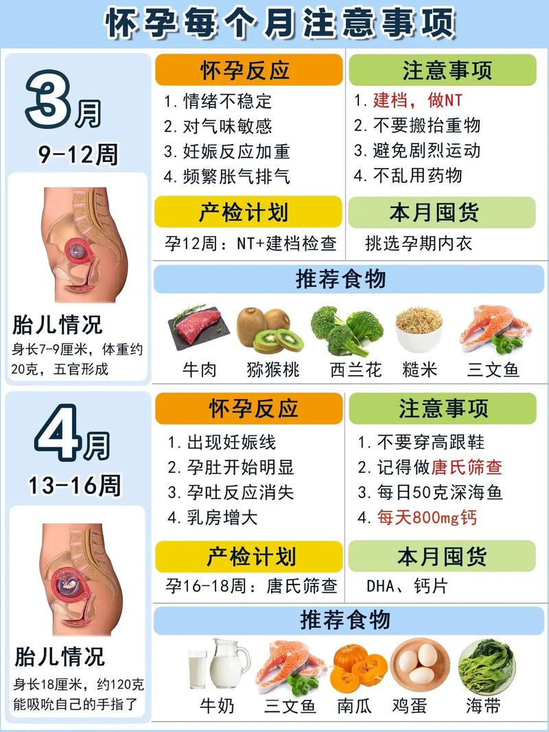 怀孕初期需要注意哪些问题和饮食,怀孕初期注意事项及饮食指南