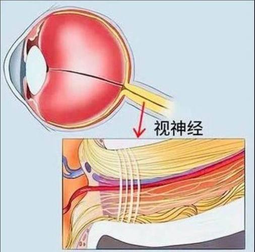 格里洛克之眼,格里洛克之眼揭秘：探秘神秘视野