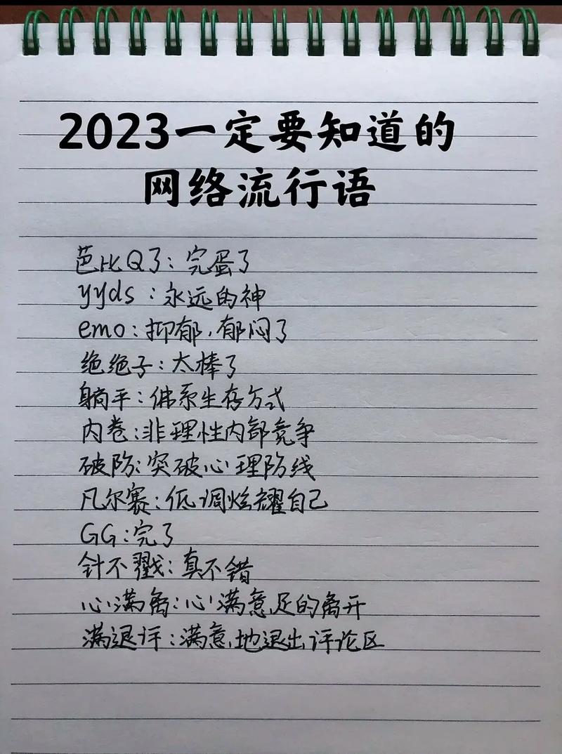 wsn是什么意思网络用语,WSN网络用语详解：全解析及其流行原因