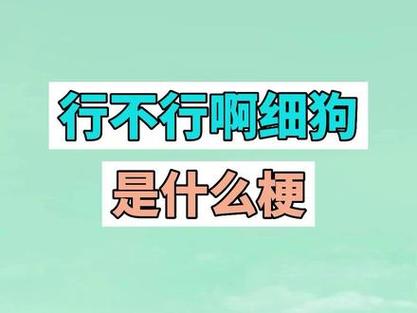 细狗什么意思,细狗含义揭秘：网络流行语大解析