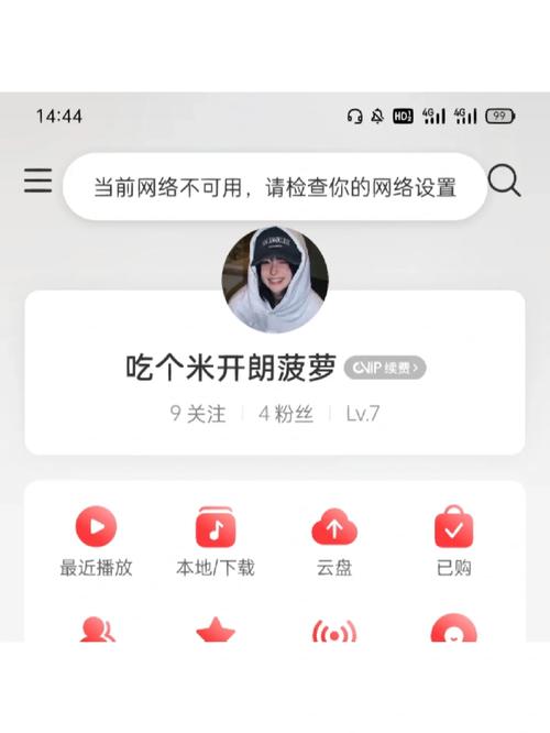 网易云怎么投屏,网易云投屏教程，快速上手操作