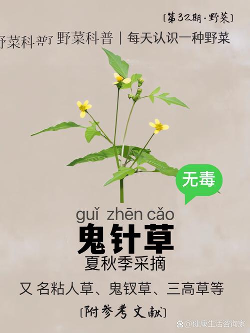 森林骨头可以合成什么,森林骨头合成秘籍，揭秘神奇用途！