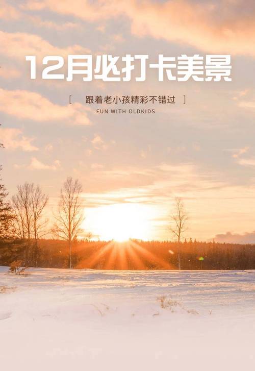 12月是哪个季节,12月季节揭秘：冬日风情季