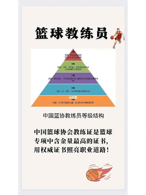 c级教练员证书篮球,篮球C级教练员证书攻略