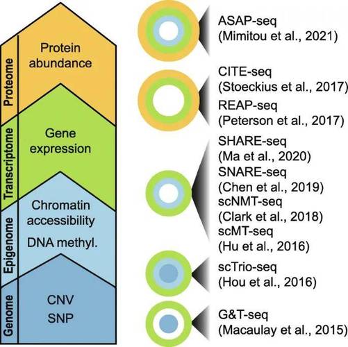 multiome,Multiome技术解析：多组学研究新趋势